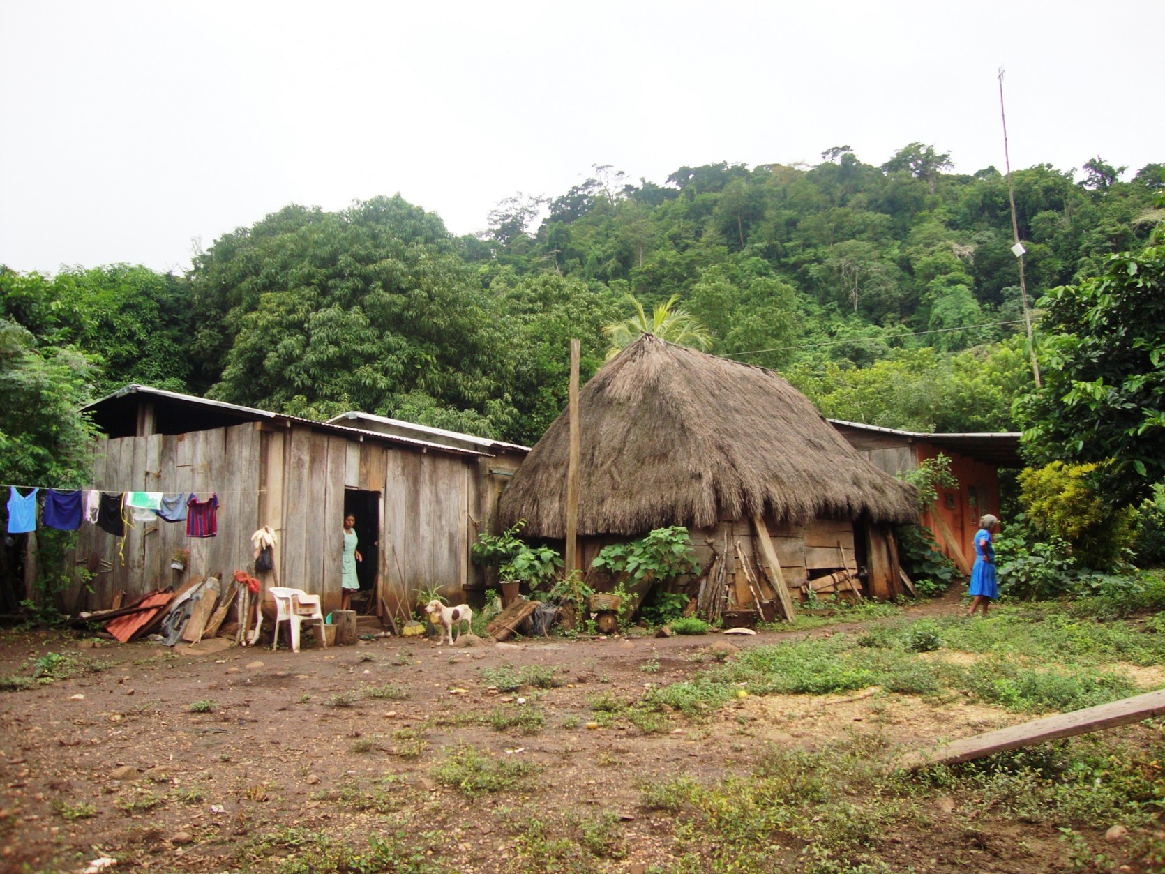 Pueblo Ind Gena Popoluca Loma De Tigre Hueyapan De Ocampo Veracruz